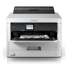 Are you looking to buy the Epson WF-M5099?