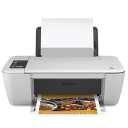 HP DeskJet 2548 Ink Cartridges