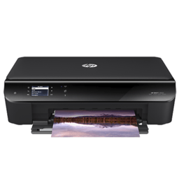 HP ENVY 4509 Ink Cartridges